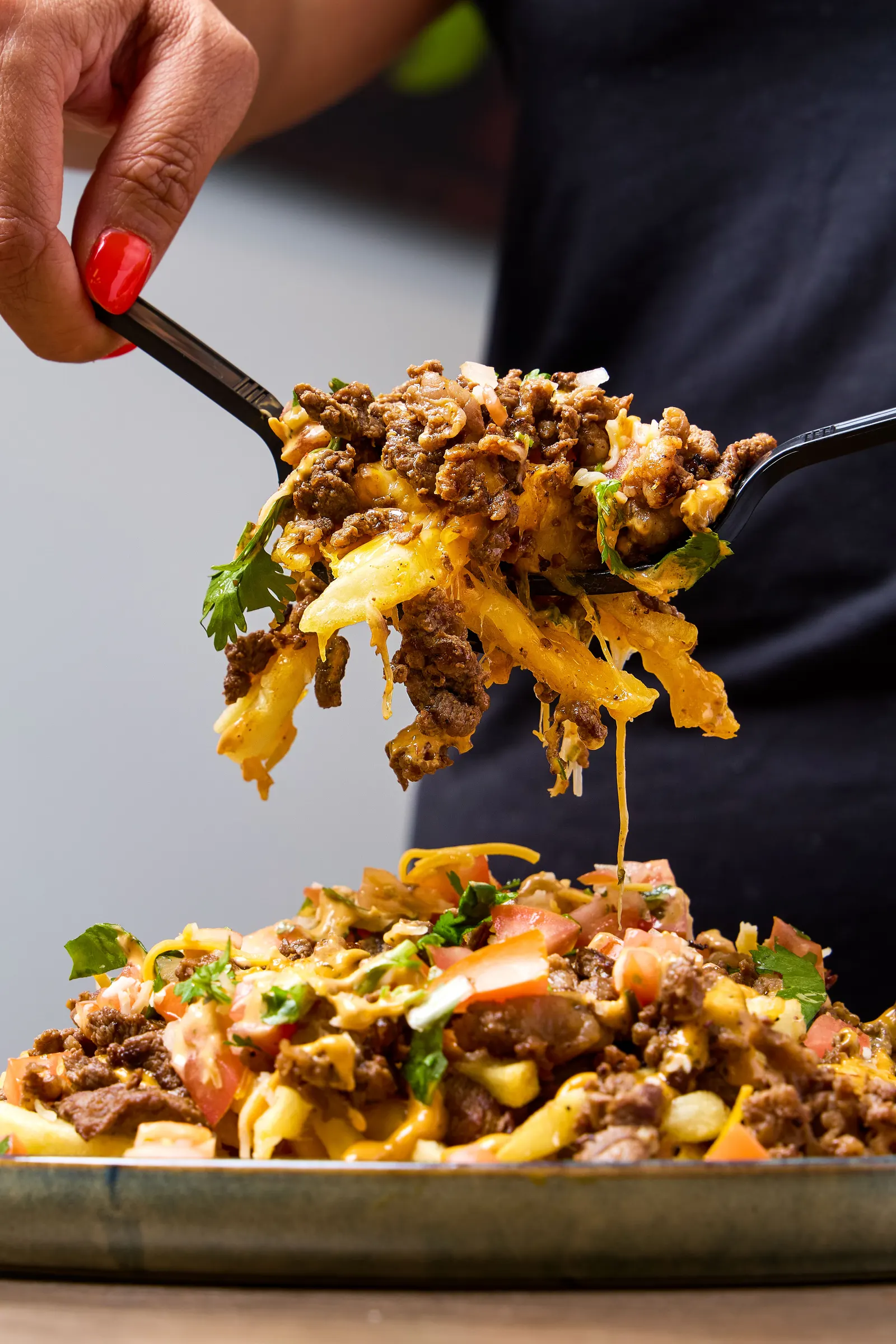Loaded carne asada fries at Mr. Birria