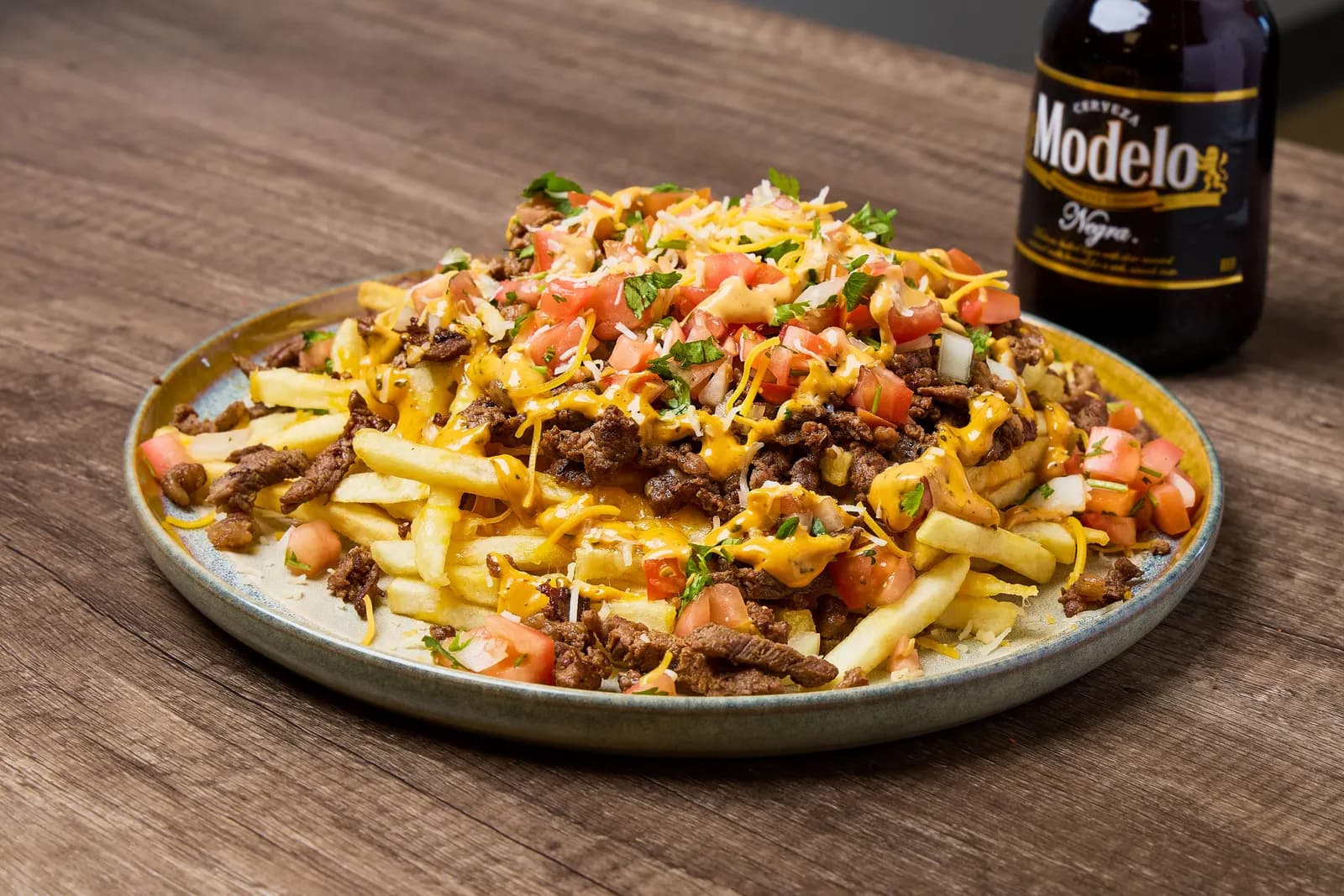 Carne asada fries — follow @mr_birria on Instagram